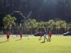 imagem-355