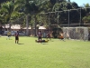 imagem-367