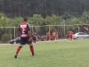 imagem-354