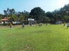 imagem-334