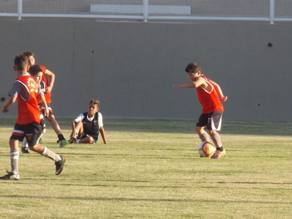 Imagem 014